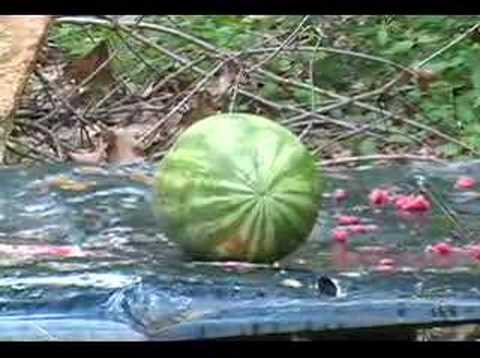 We tested the Extreme Shock Air Freedom Round in a Springfield Armory XD service model 45 ACP vs. a 185 Winchester Silver tip on some watermelons. This shows that the AFR round does not fully penetrate a fleshly target. Which makes it good for home defense. This also shows how devastating a Winchester Silver Tip round is. More ballistics testing videos to come.