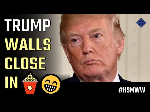 The Wall's Are Closing In as Donald Trump's lawyers flounder