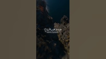 (قال فمن ربكما يا موسى) محمد أيوب 🌷 سورة طه 😌