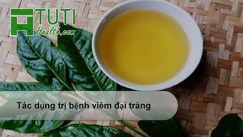 11 Tác Dụng Của Lá Vối Đối Với Sức Khỏe Con Người Bạn Nên Biết ?
