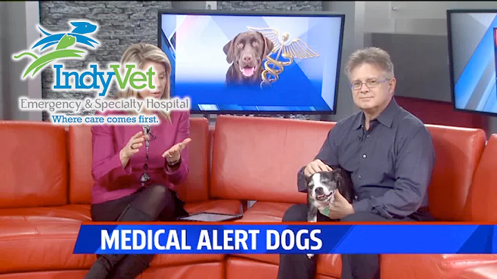 Medical Alert Dogs - Part 1