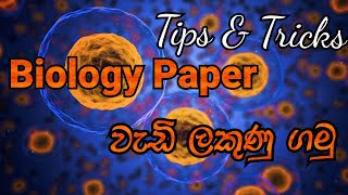 Biology Paper එකට වැඩි ලකුණු ගන්නෙ කොහොම ද Sinhala study tips | SlNotes Part01