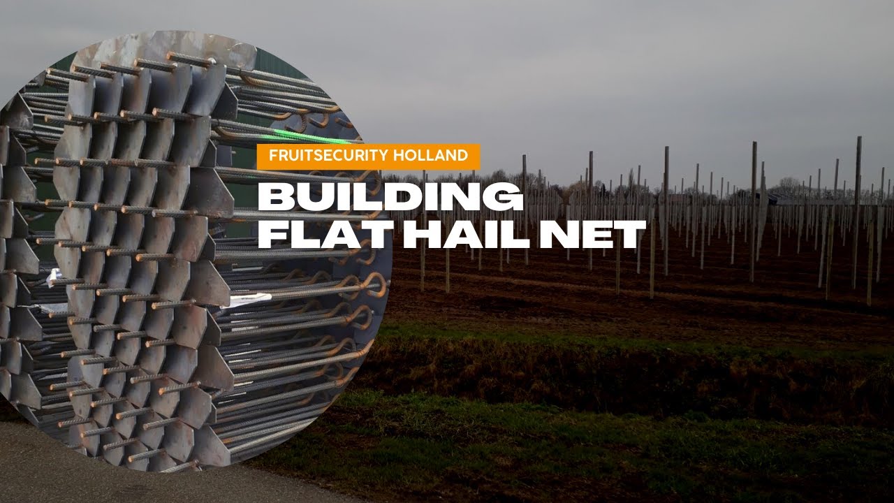 Building a New Orchard with the Flat Hail Net System- FRUITSECURITY HOLLAND