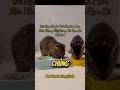 Với Chúng Bạn Là Tất Cả Mrzackenglish Fyp Catlife Xuhướng Catlovers Catlove Với Chúng Bạn Là Tất Cả Mrzackenglish Fyp Catlife Xuhướng Catlovers Catlove