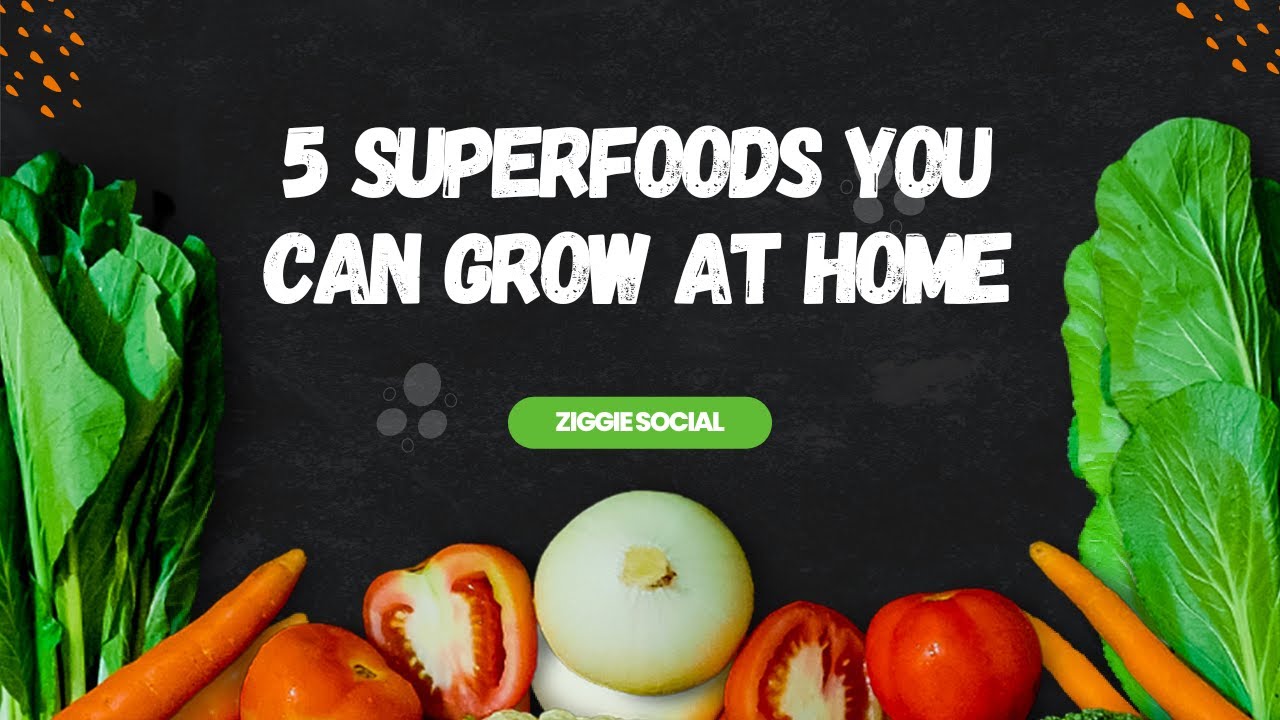 5 Superfoods You Can Grow At Home YouTube