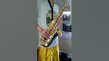 saxophone low note problem(1)