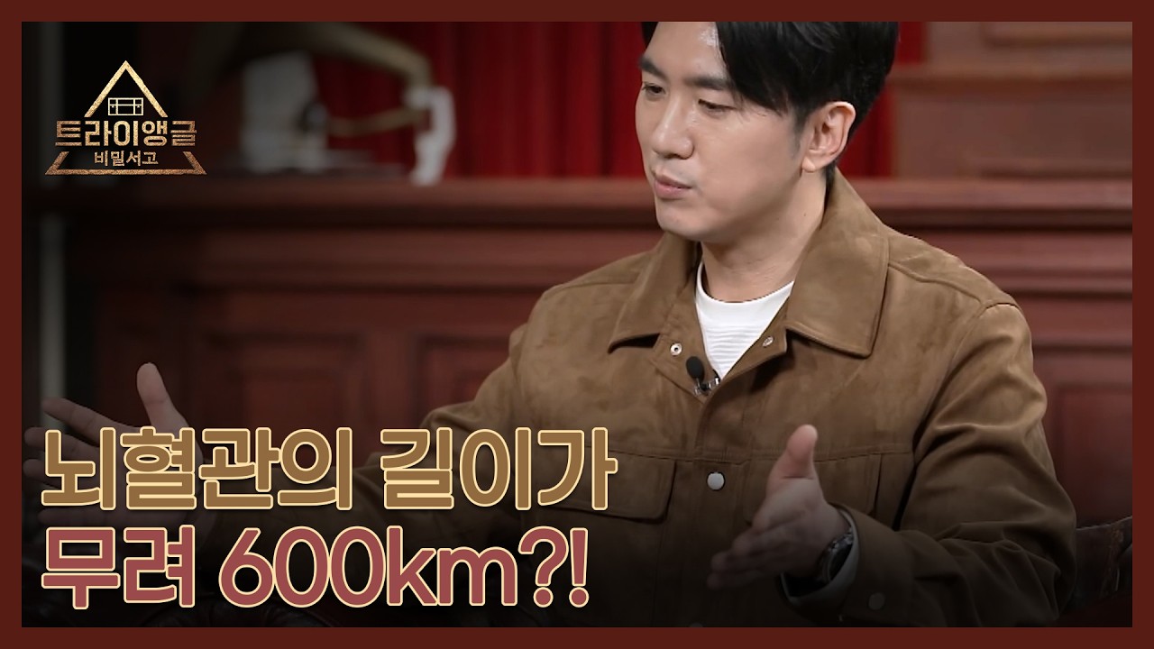 뇌혈관을 한 줄로 펼쳤을 때 길이가 무려 600km?! MBN 260301 방송