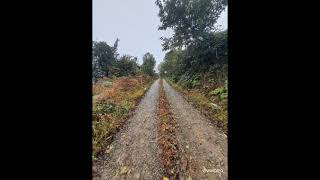 Bir Yalnızlık Şarkısı - Funk Cover