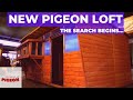 Time to buy a new pigeon loft  ep52