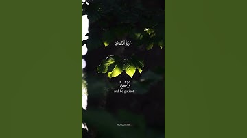 ياسر الدوسري – سورة لقمان آية 17 – يا بني أقم الصلاة وأمر بالمعروف