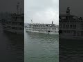Luxury cruise ship passing #shorts