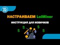 Установка и настройка Lolminer (для владельцев АМД)