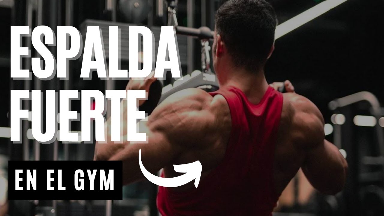 Los MEJORES EJERCICIOS para ESPALDA en el GYM | EJERCICIOS para ESPALDA ...