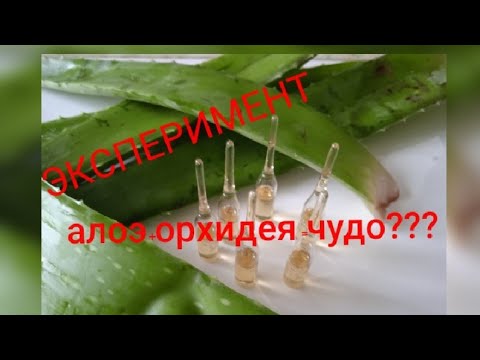 Проверяю сок Алоэ на орхидеях Какой будет результат