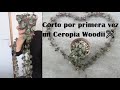 Reproducion de la ceropegia woodii✂️Lo hago por primera vez 😵