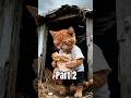 part 2 | AI generate video|Billi wala cartoon | sed story videos #indiananimation #kidsstories