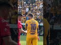 #POV: Se te pone la piel chinita viendo esto de los Tigres a Gignac 🥹