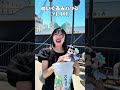 【新発売】ディズニーシー25周年グッズが可愛くて困ってます🩵 #ディズニー #ディズニーグッズ #ディズニーシー25周年 #スパークリングジュビリー