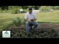 Groundcover Specialists SPANISH