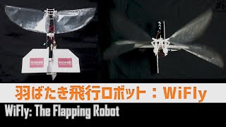 ドローンに匹敵する羽ばたき飛行ロボット：WiFly　〜Special video ver.〜