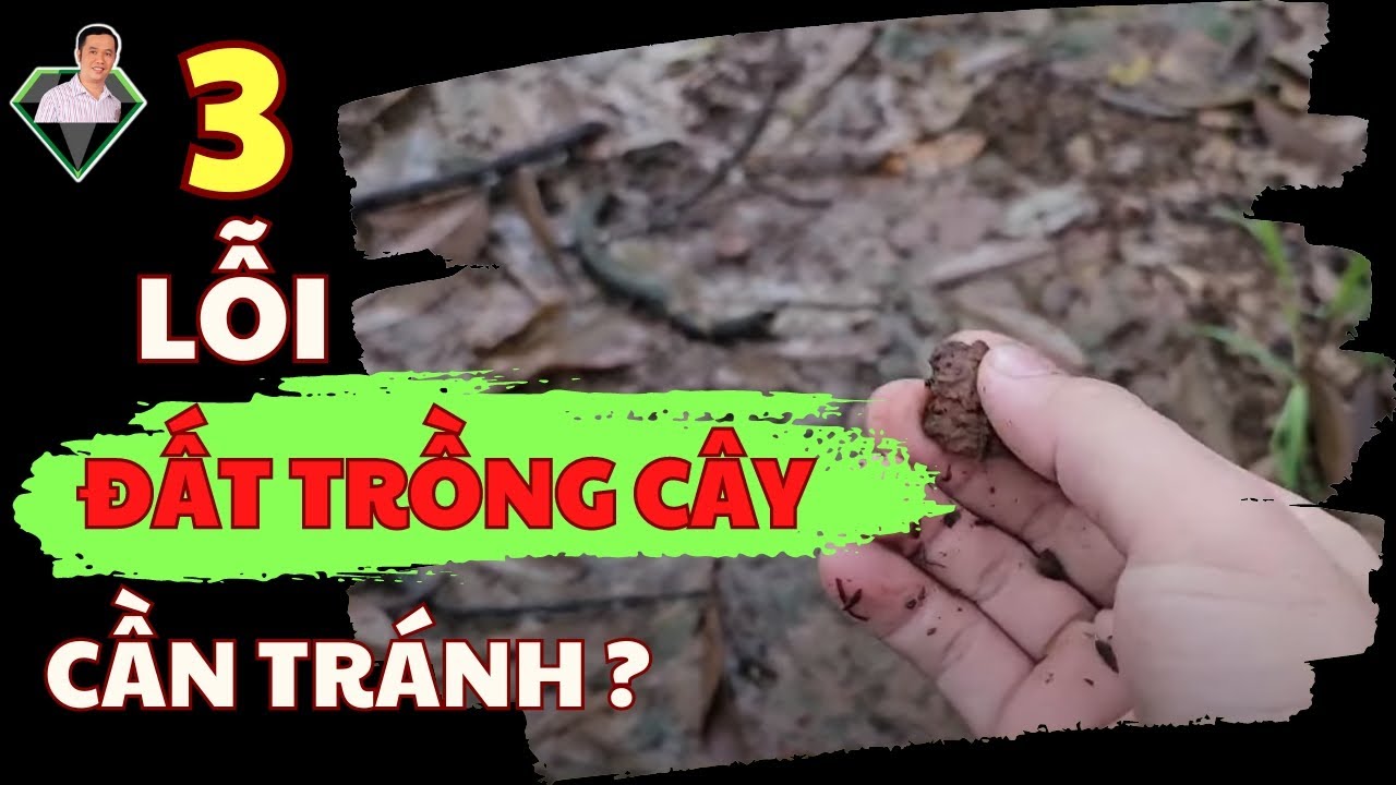 3 Lỗi Cần Tránh Về Đất Trồng Khi Canh Tác Cây Trồng | Lương Hồng Sơn