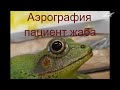 Лягушка из дерева (жаба) покраска аэрографом.