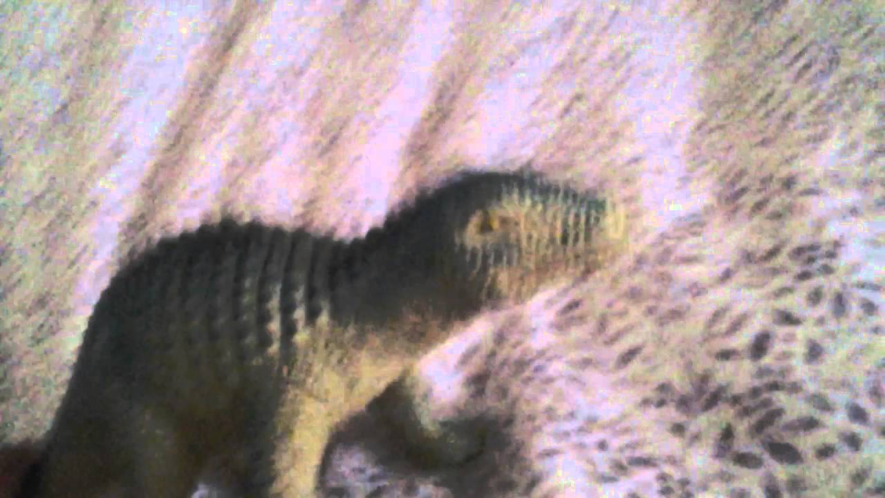 camera iphone 8 plus apk WORST VIDEO EVER