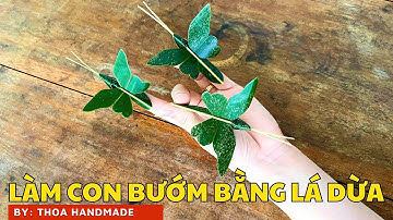Hướng dẫn làm con bướm bằng lá dừa đơn giản mà cực xinh | Coconut Leaf Butterfly @Thoahandmade