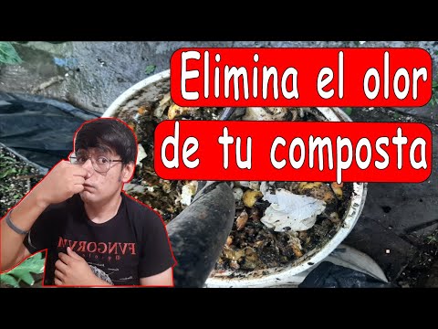 Video: Ayuda, mi contenedor de lombrices huele mal - Razones para el vermicompost maloliente