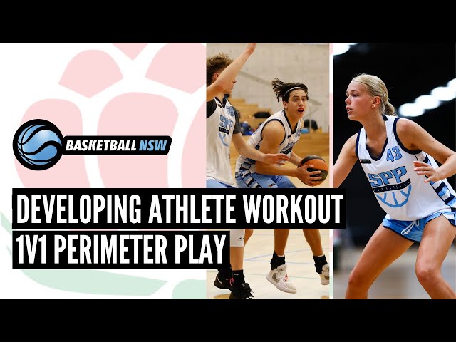 Developing Athlete Program - 1v1 Perimeter Play