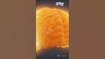 Unlock Your Brain: Learning Hacks! /how to unlock brainly answers for free/kaise brain🧠 lock Karen‽