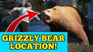 BEST GRIZZLY BEAR LOCATION in FAR CRY 5