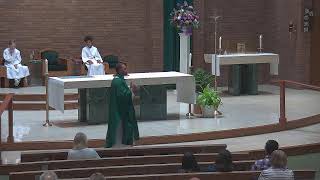 Homily for the 15th Sunday in Ordinary Time