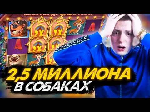 СЛОВИЛ БОНУС НА 2.384.000 РУБЛЕЙ В СОБАКАХ / Dog House, Deadwood, Sweet Bonanza, Fat Santa, Baccarat