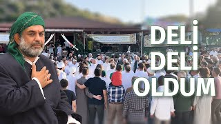 Deli Deli Oldum