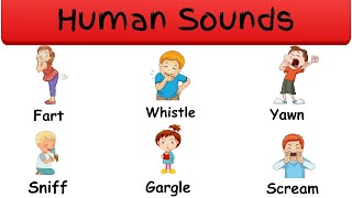 Human Sounds | Human Body Sounds In English | Learn English @paxberrytv screenshot 4