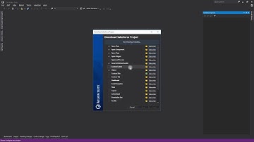 Creating your first Salesforce project in The Welkin Suite IDE
