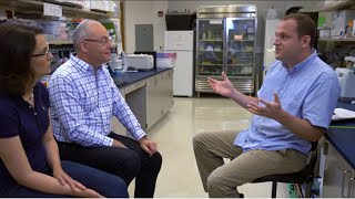 Illumina - Adventures In Genomics The Fruits Of Fruit Fly Research By Scratch Media