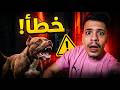 خطأ كبير كيديروه الناس وكيخلي Pitbull يولي عدواني ⚠️