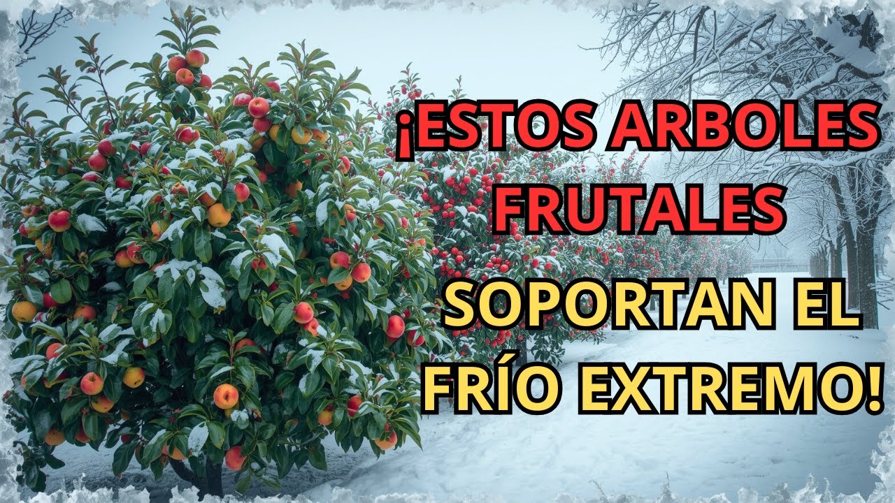 NI EL INVIERNO LOS DETIENE | 10 Árboles FRUTALES Que Resisten el FRÍO y ADEMÁS Dan Fruta.
