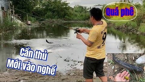 Câu cá lóc | cứu Tuấn! Sơn ơi!!! | rong chơi miền tâ#fishing #lurecaloc #moitulam