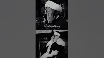 يا أيها الذين آمنوا اذكروا الله | الشيخ حسام المنشداوي يحاكي الشيخ محمد صديق المنشاوي | سورة الأحزاب