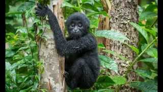 Amazing Place - Sumatra - Indonesia