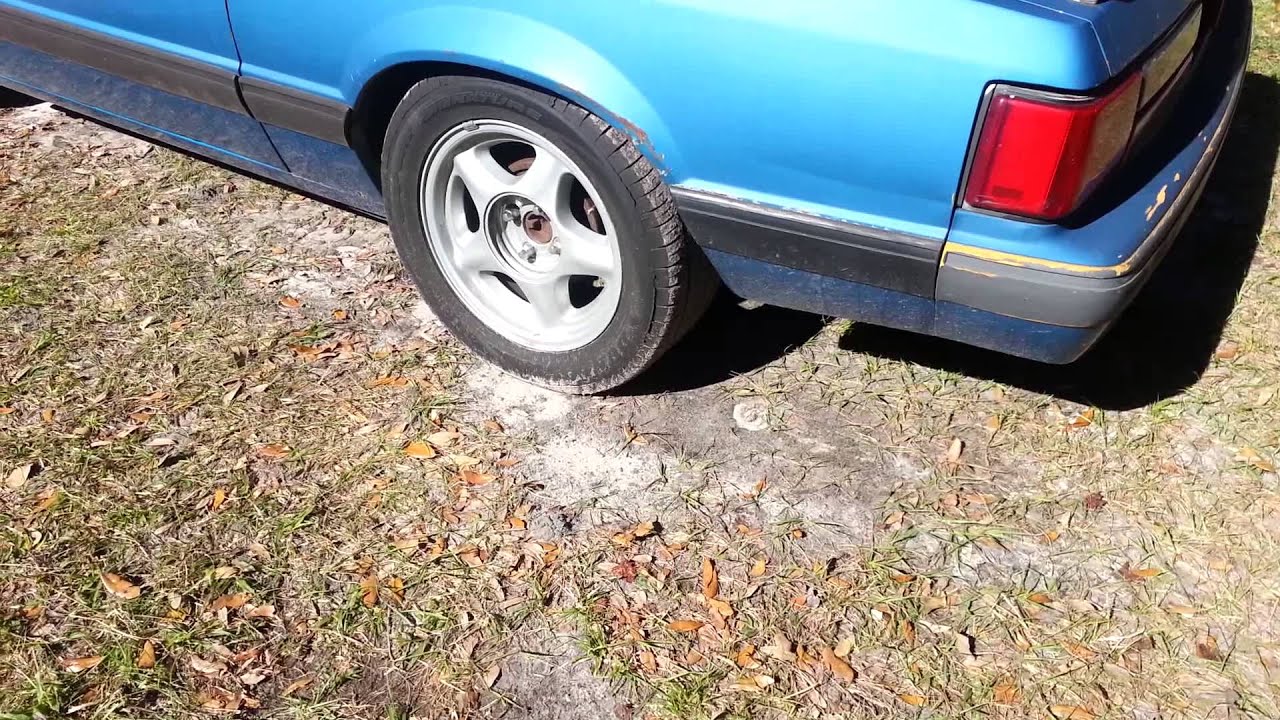 Mustang 5.0 idle clip TFS heads TFS stage 1 cam YouTube