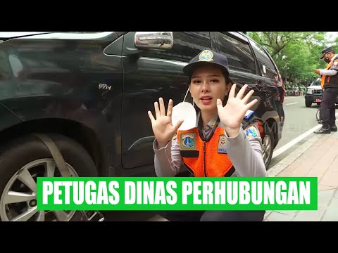 PETUGAS DINAS PERHUBUNGAN | BERANI COBA (18/02/22)