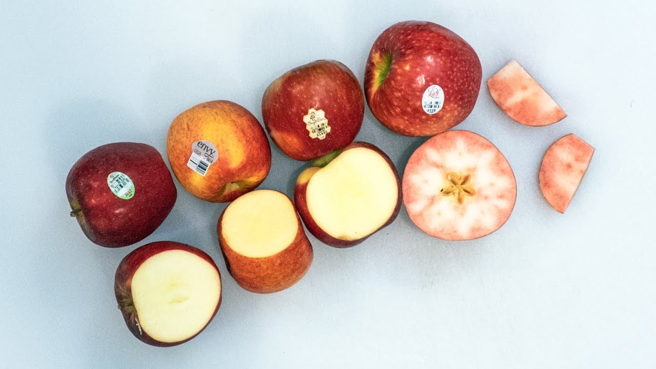 APPLE TASTE TEST: Lucy Rose (red-flesh!), SugarBee, SnapDragon, Envy 