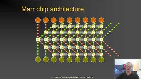 Misha Mahowald’s Beautiful Stereo Chip - Tobi Delbruck- 2020 Telluride Neuromorphic workshop