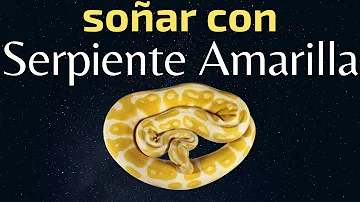 ¿Qué significa que la planta serpiente se vuelva amarilla?