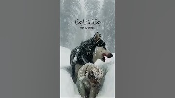اسلام صبحي ♥حالة واتس سورة يوسف