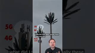 Wait, Are Those Palm Trees 5G Towers?